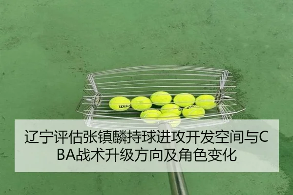辽宁评估张镇麟持球进攻开发空间与CBA战术升级方向及角色变化